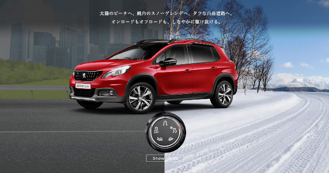 雪が降っております。