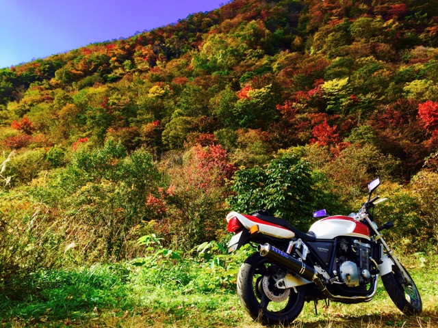 天気が良い・・・