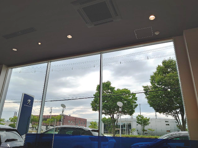 梅雨入り間近(´・ω・｀)？