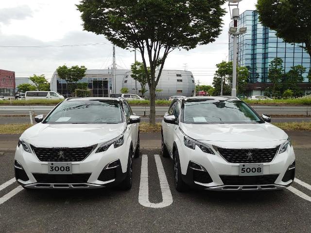 デビューフェア開催中です！！