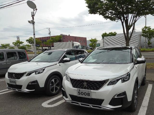 デビューフェア開催中です！！