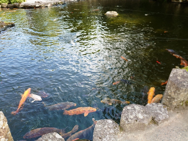 身近なツーリングスポット・・・です。