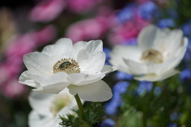 10年という節目を迎えて