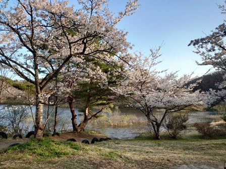 ハマっている事。