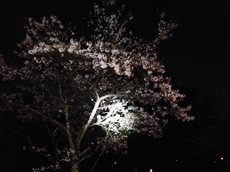 ハマっている事。