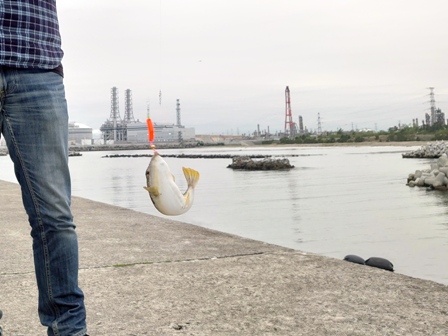 ハマっている事。