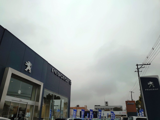 あいにくの雨天ですが、おすすめ情報です！