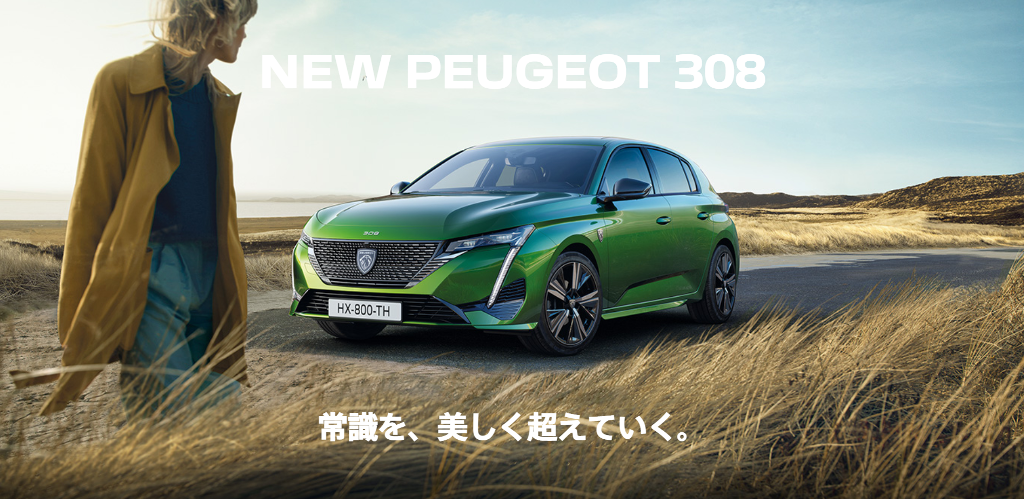 待望のNEW308。　初期生産完売間近！！