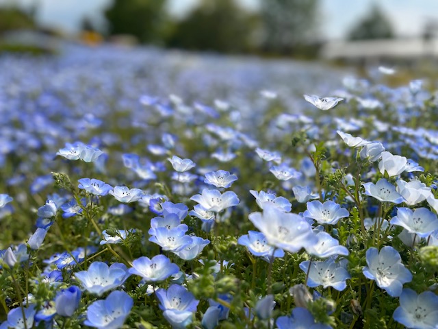 旅があなたを呼んでいる