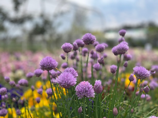 旅があなたを呼んでいる