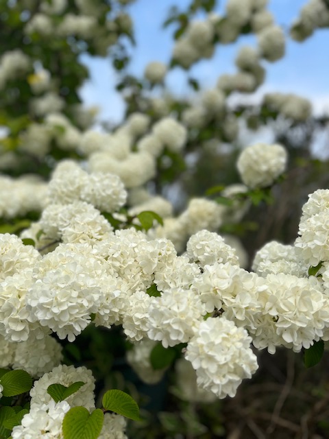 旅があなたを呼んでいる