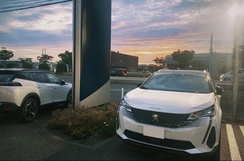 今週もお疲れ様でした！