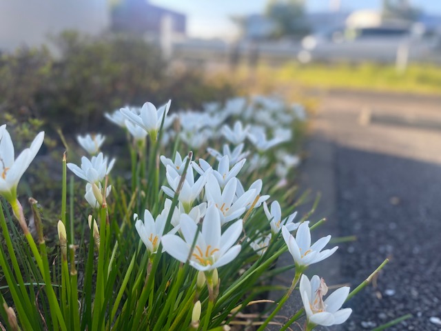 謎は（たぶん）すべて解けた