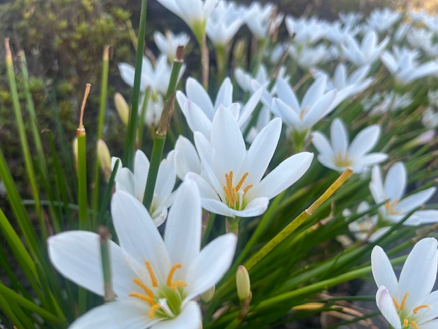 謎は（たぶん）すべて解けた