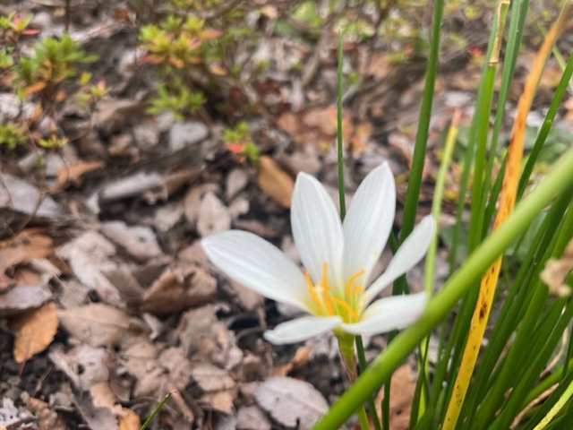 今年も戦いが始まる