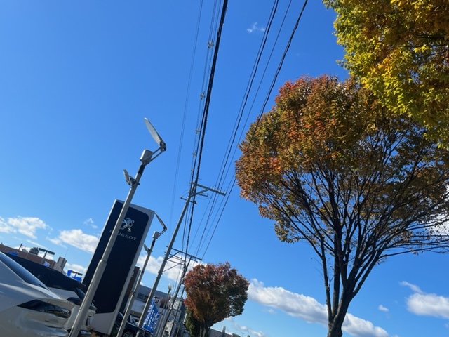 今年も戦いが始まる