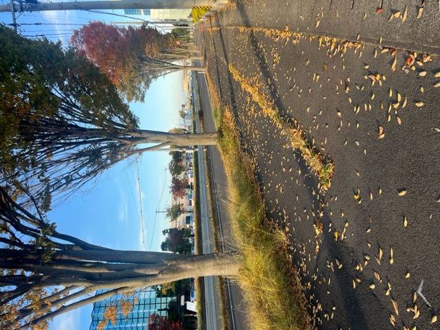 今年も戦いが始まる