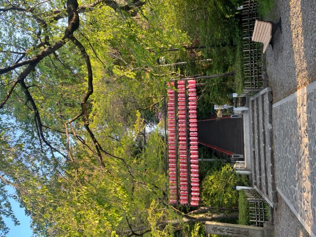 兎年にちなんで　　