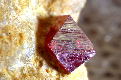 ボディカラーについて考えてみた