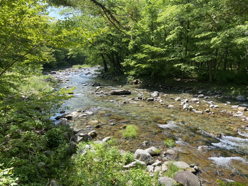 308Allure マイカーとともに