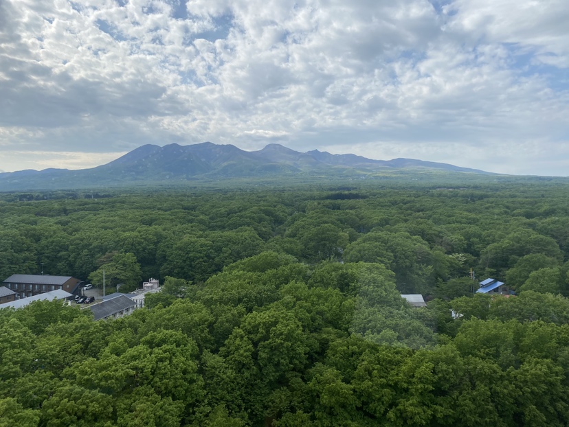 308Allure マイカーとともに