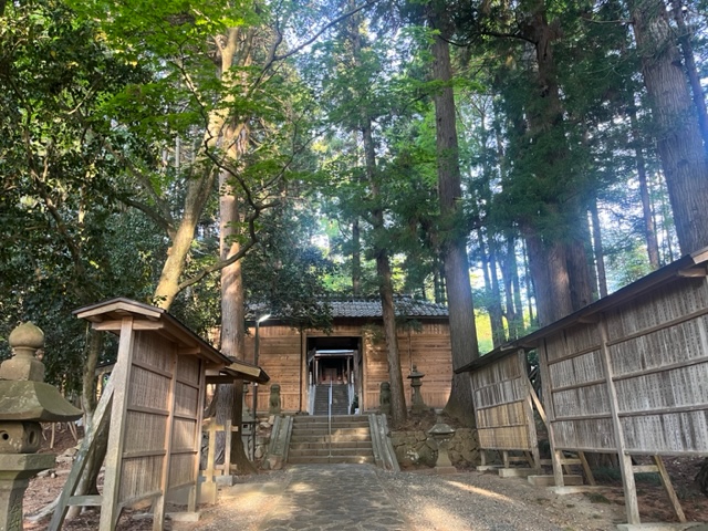 うさぎ、リベンジ！！！