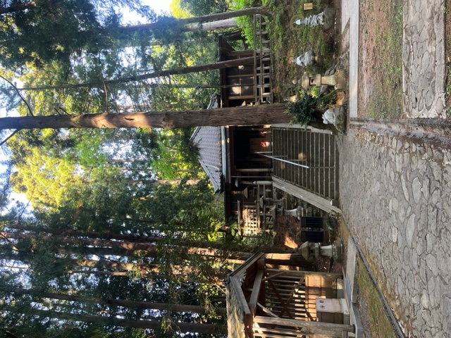 うさぎ、リベンジ！！！