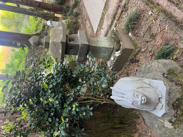 うさぎ、リベンジ！！！