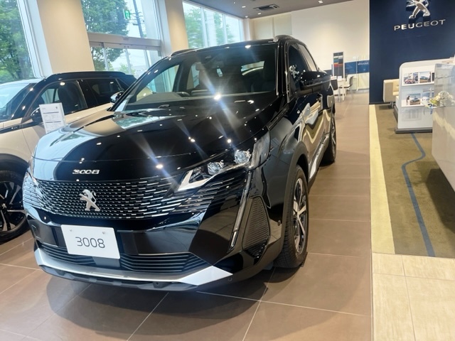 フェア開始直前！お勧めSUV