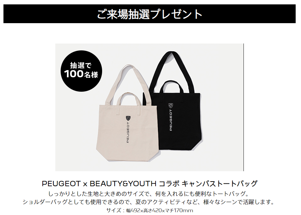 フェア開始直前！お勧めSUV