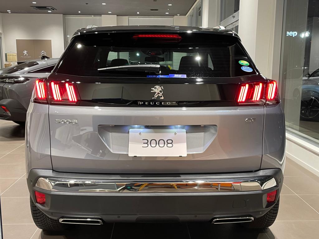 3008 GT Executive Edition！