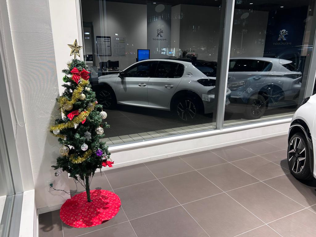 クリスマスツリー展示しました！