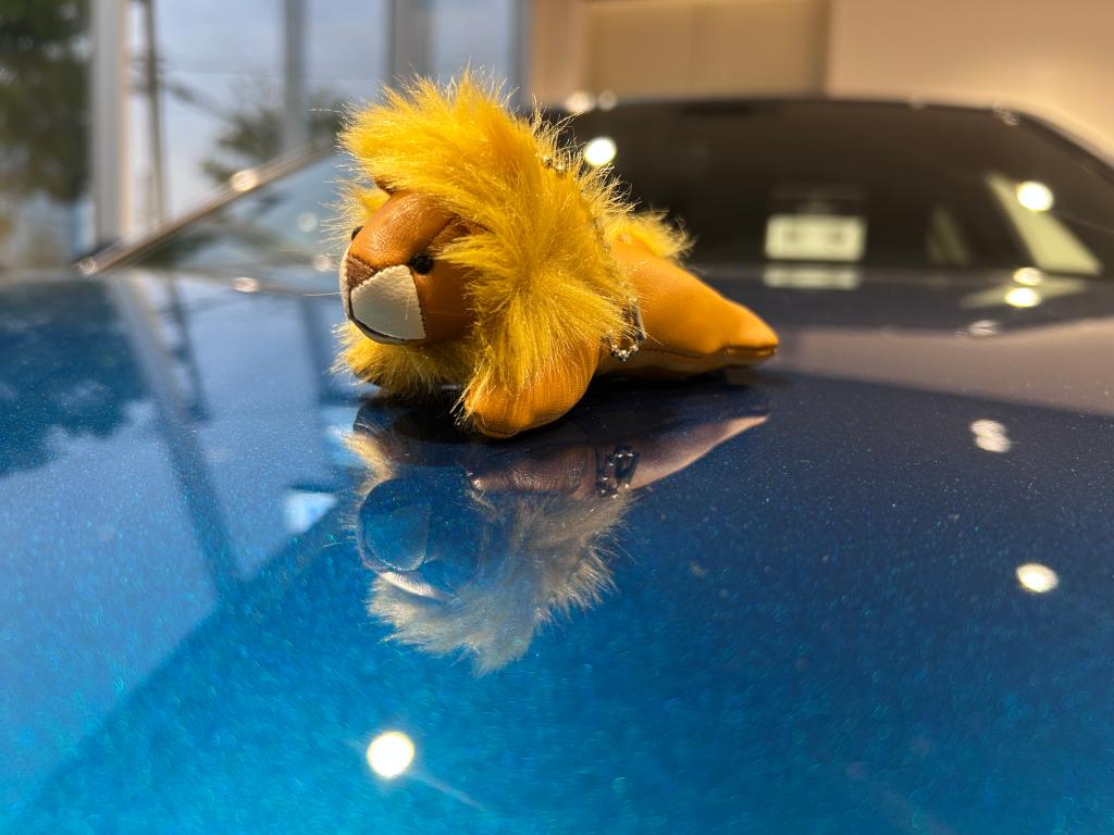 Peugeot Petit Lion Life フェア開催！5/10(土)～11(日)