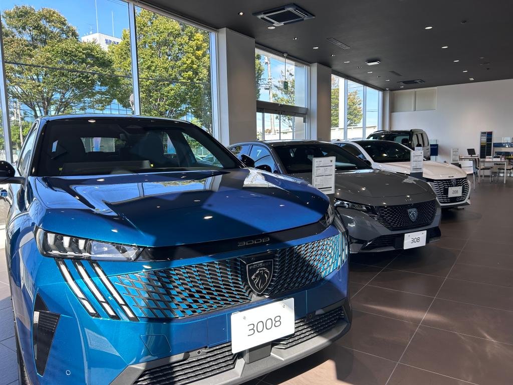 マイルドハイブリッドご紹介🦁