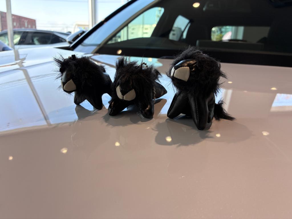 5008デビューフェア開催🖤🦁