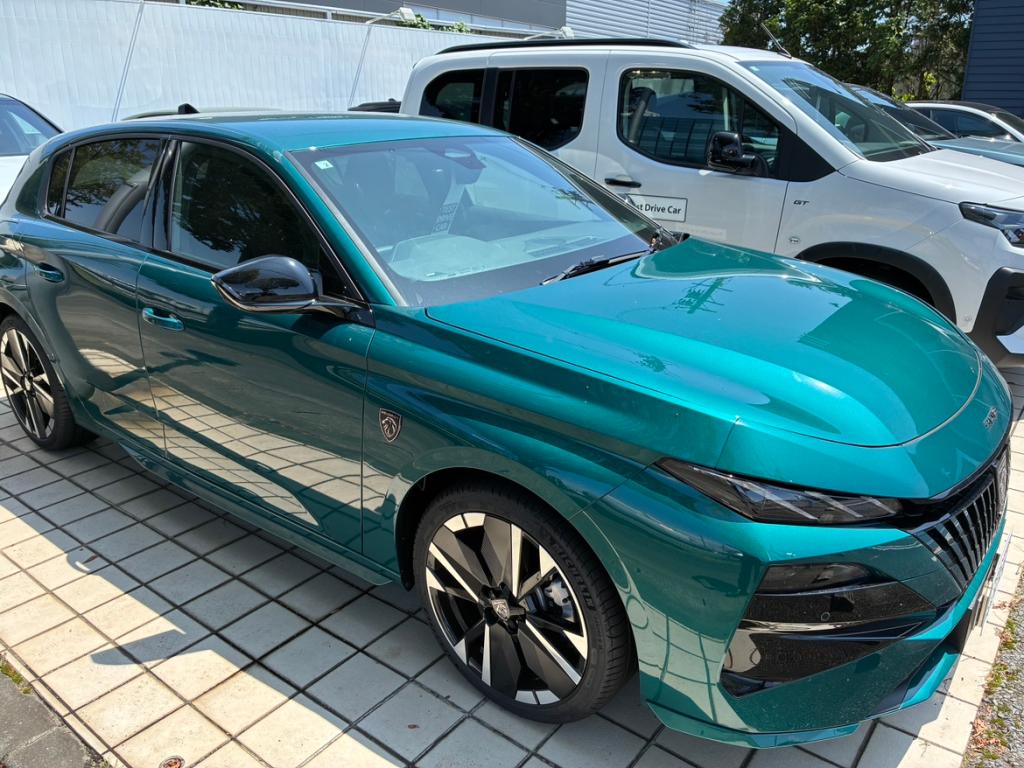 NEW308！
