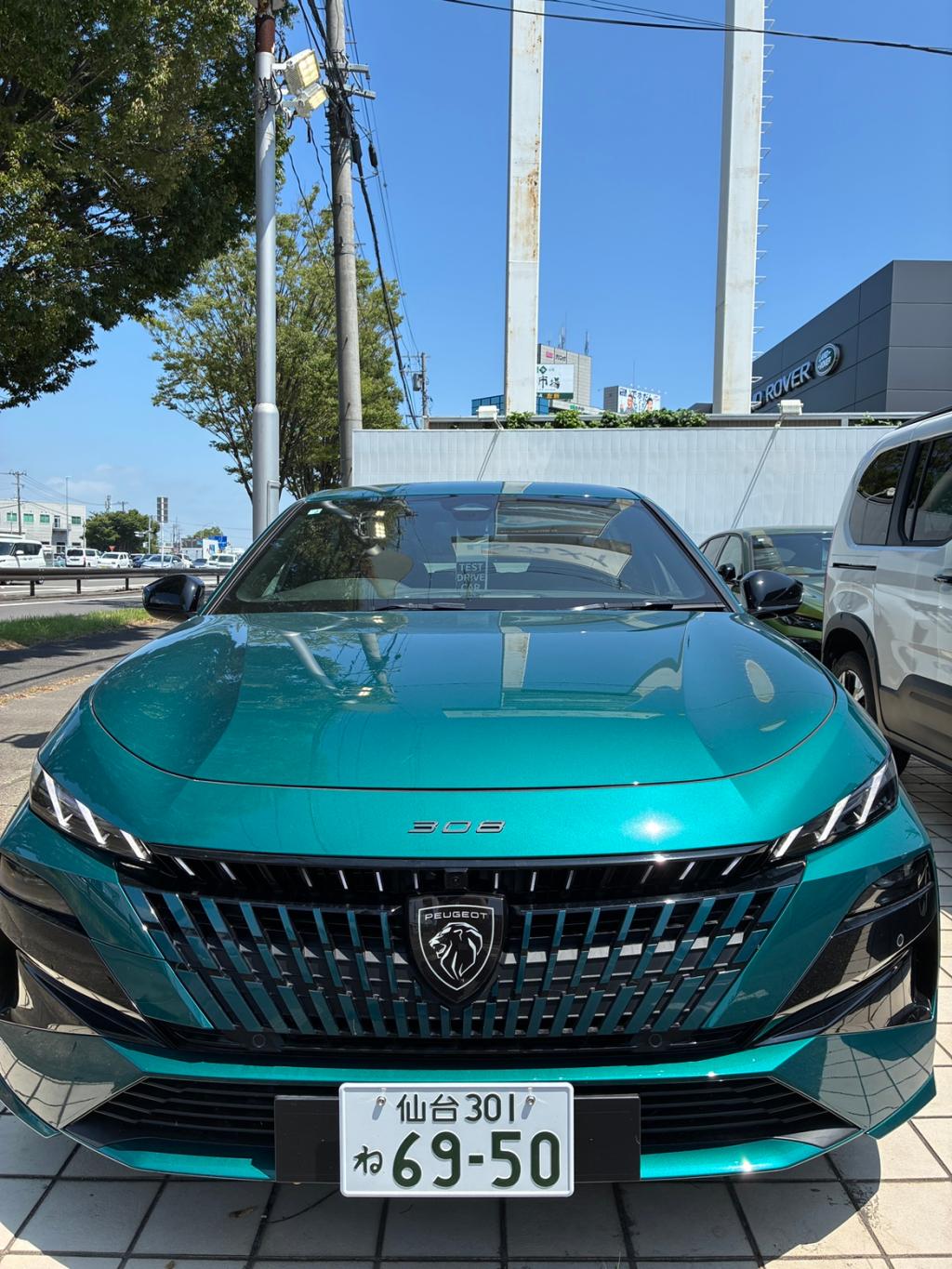 NEW308！